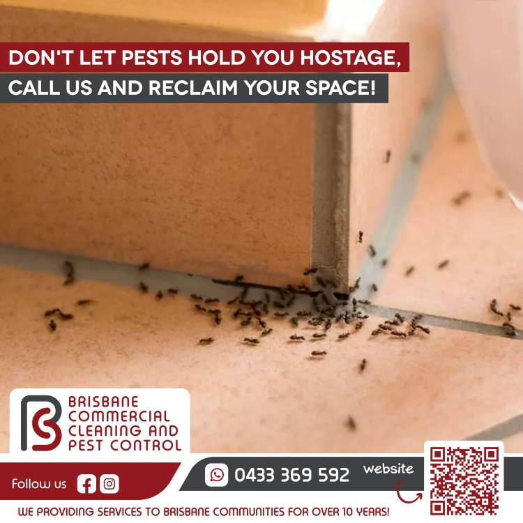 Don't Let Pests Hold You Hostage Call Us and Reclaim Your Space